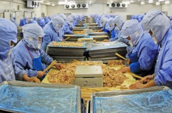 Esqueça As Gorduras: É Com a Comida Processada Que Deveríamos Nos Preocupar