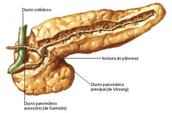 Um Alerta do seu Pâncreas