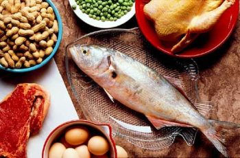 Novas Pesquisas Sobre Proteínas e Microbiota Intestinal
