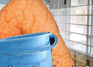 Índice Insulinêmico