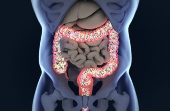A razão de o microbioma ser fundamental à sua saúde
